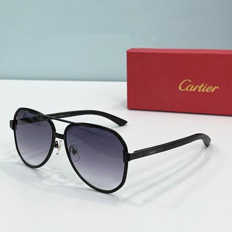 Cartier Sunglasses 833